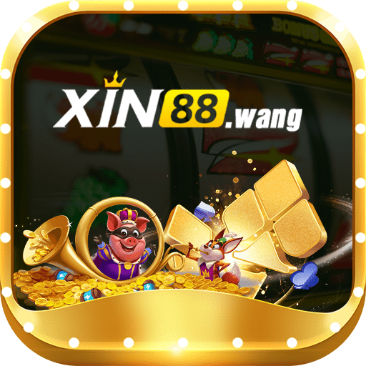 xin88